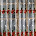 poppy curtain 50 inc height